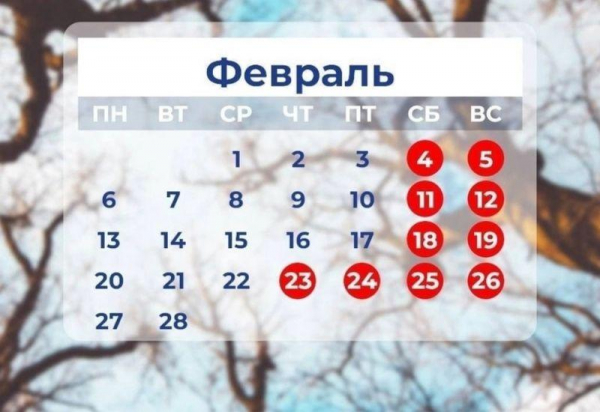 Как отдыхаем в феврале в 2024 году: выходные и праздники, дни отдыха у школьников